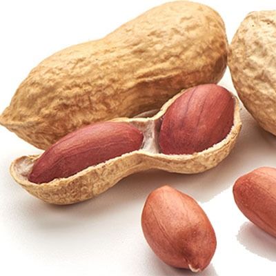 Peanut from 우간다 supplied by Regile Logistics - 크기: 8-10 생땅콩