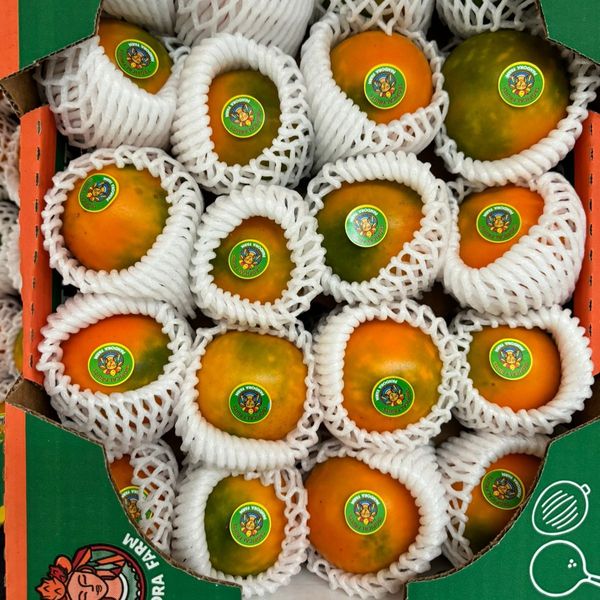 Lulo Fruit (Naranjilla) from 에콰도르 supplied by Pandora Farm - Meat with Seed 룰로