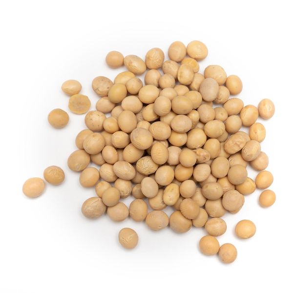 Organic Soya Beans from 중국 supplied by Porcosta, LDA - 햇볕 건조 대두