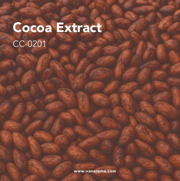 Cocoa Extract - Van Aroma (CC-0201) from Indonesia supplied by Van Aroma - High Quality Cocoa Paste