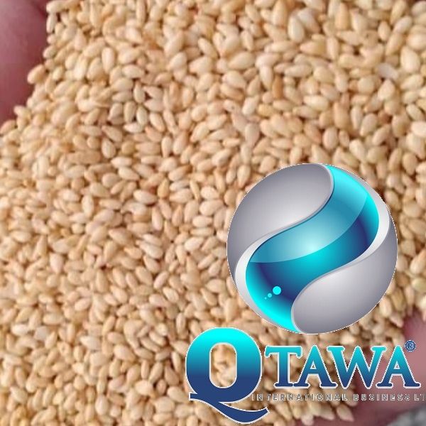 SESAME SEED from Burkina Faso supplied by QTAWA INTERNATIONAL BUSINESS LIMITED - Fresh Sesame Seed