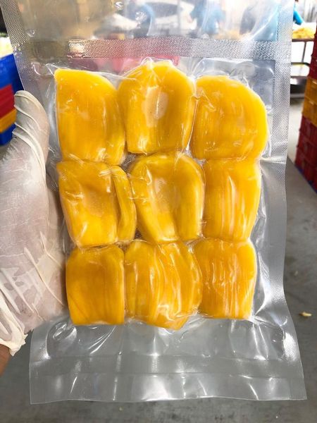 Frozen Jackfruit from Vietnam supplied by MIT INTERNATIONAL CO., LTD - Frozen Other Frozen Fruits