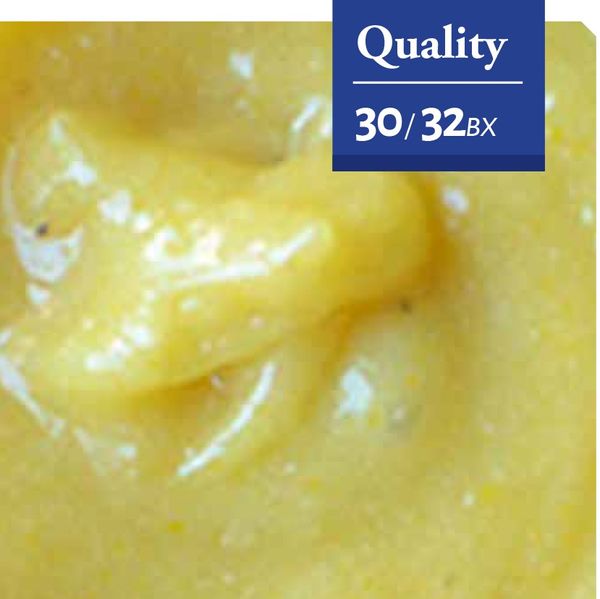 Lemon Puree from 아르헨티나 supplied by QUELLE TRADE, import export d.o.o - 기타 페이스트 및 퓨레