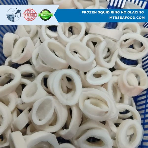 FROZEN SQUID RING from 인도네시아 supplied by PT Mitra Timur Rayatama - 품질: AA+ 냉동 오징어