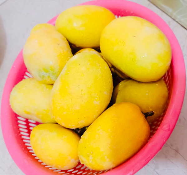 Fresh Mango from 파키스탄 supplied by AAR TRADERS - 크기: 8-10 신선 망고