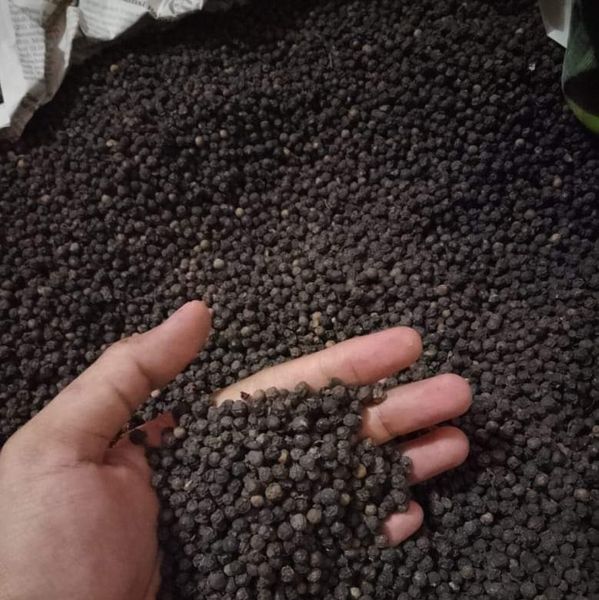 BLACK PEPPER from 인도네시아 supplied by PT KOMODITI NUSANTARA JAYA - Pepper 혼합 향신료 상품