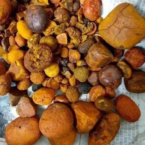 Ox Gallstone from 인도 supplied by AWF Global Trading Company Limited - 내장