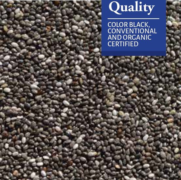 Chia Seeds from 파라과이 supplied by QUELLE TRADE, import export d.o.o - 치아 씨