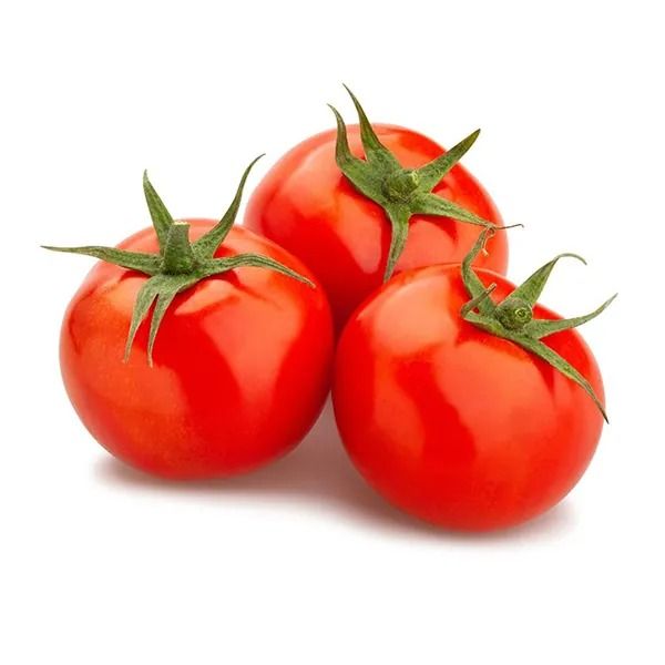Egyptian Tomatoes from 이집트 supplied by PEI Trade - Turning Red 신선 토마토