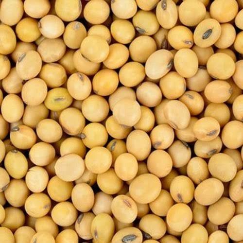SOYABEAN SEED from 나이지리아 supplied by SA AGRO NIG LTD - Good Quality 대두