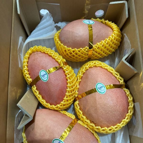 Xoài đào from 베트남 supplied by AGN., ltd - 신선 망고