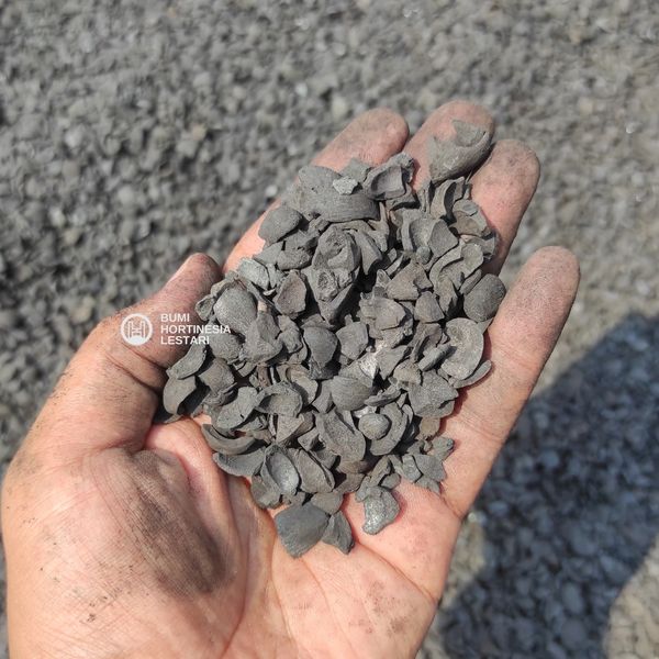 Palm Kernel Shell Charcoal from 인도네시아 supplied by PT Bumi Hortinesia Lestari - Conventional 팜핵 껍질