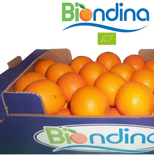 fresh organic orange from Italy supplied by l'arcobaleno sca - Fine Quality Fresh Orange
