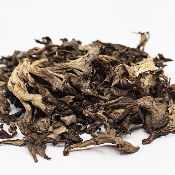 Black trumpet (Craterellus cornucopioides) from 크로아티아 supplied by MP Product - Black 뿔나팔버섯