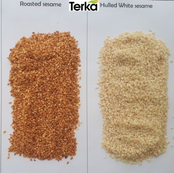 susam from 튀르키예 supplied by terka baharat ve şifalı bitkiler - Dehulled (=Dehusked) 참깨