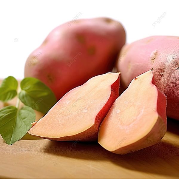 Sweet Potato from 이집트 supplied by ALDBERKY TREADING - 고구마