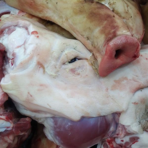 Голова свиняча, половинки from 우크라이나 supplied by СМАКОТА ГРУППА ООО - 신선 돼지고기 햄 및 목살