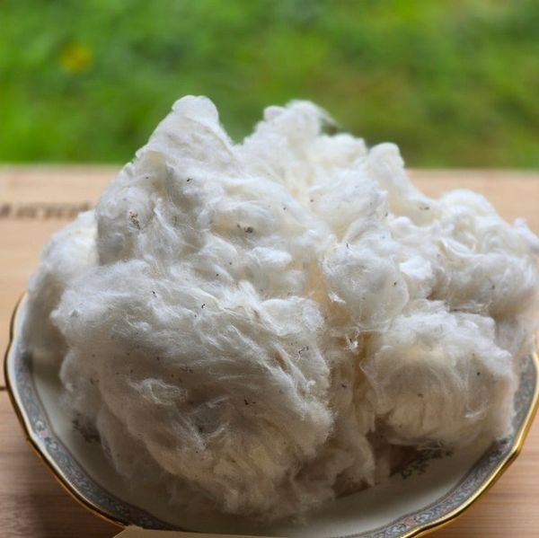 Cotton seed oil refined from 탄자니아 supplied by RV EXPORTS LTD - RBD (=Refined, Bleached, and Deodorized) 목화씨 오일