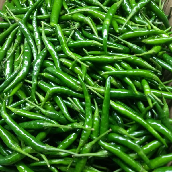Green/Red Chillies from 케냐 supplied by Highland brands limited - Bird Eye 신선 고추