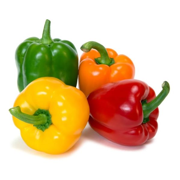 Pepper colors from 이집트 supplied by ALDBERKY TREADING - 신선 피망