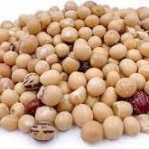 Bambara Nut from 나이지리아 supplied by Agropulver - Whole 밤바라콩
