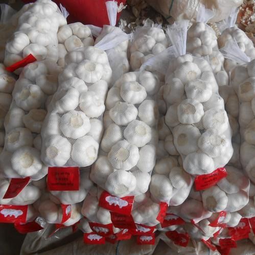 Traditional white garlic from 중국 supplied by 上海盒米网络科技有限公司 - 4-6 cm 신선 마늘