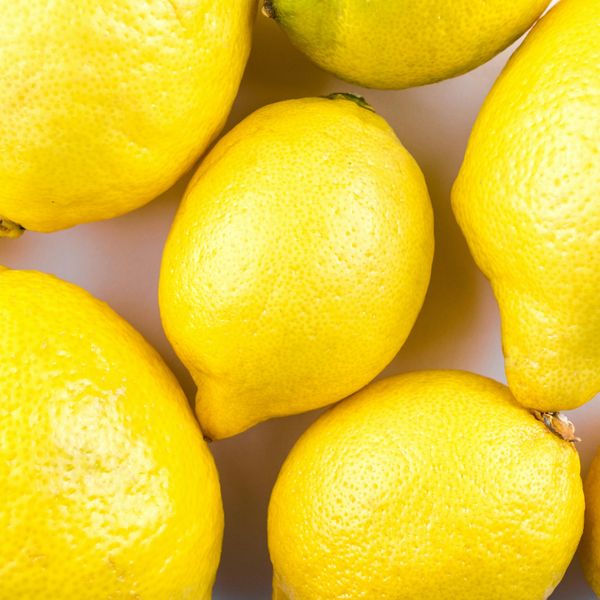Lemon from 인도 supplied by Liberty Exports - 노란빛 신선 레몬