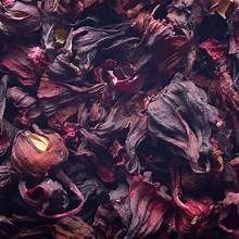 hibiscus from 말라위 supplied by AgriCARE - High Quality 허브 블렌드