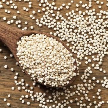 Quinoa from Bolivia supplied by Timbó Foods SL - Whole Quinoa