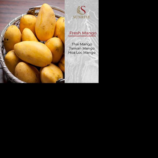 Fresh mango from Vietnam supplied by Sunrise Ins - Fresh Mango