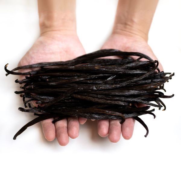 Bourbon Vanilla Beans (Planifolia) Grade A - Length 18cm / 7" and up from Indonesia supplied by Terra Flavor Indonesia (Djava Vanilla Harvest Co.) - 18-22cm Vanilla