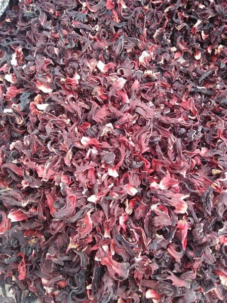 DRIED HIBISCUS FLOWER from 나이지리아 supplied by BONBRIDGE FARMS - 로젤(=Gongura=Hibiscus Sabdariffa) 히비스커스