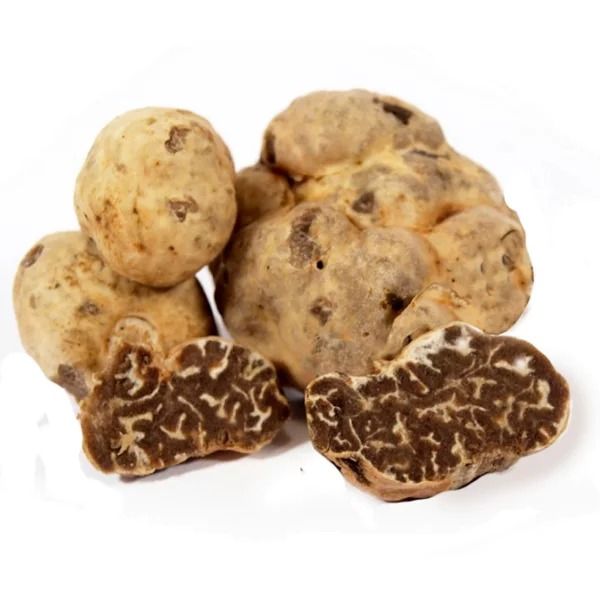 Bianchetto Truffle from Italy supplied by Truffleat - Bianchetto (=Whitish=Spring) Truffle