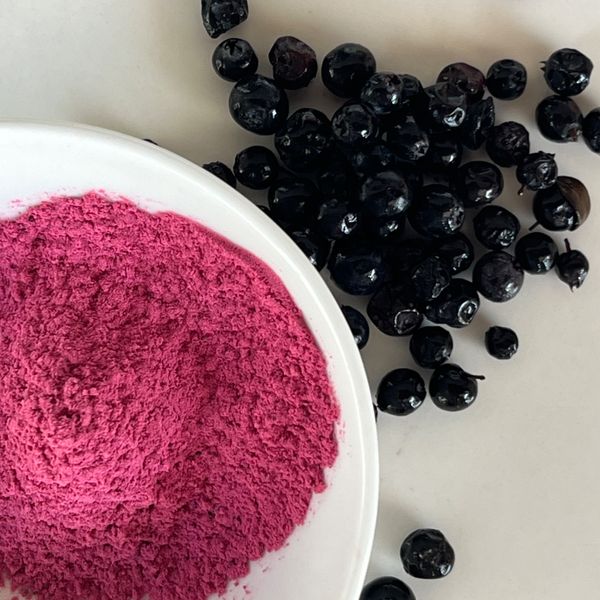 Andes Berry Powder from Ecuador supplied by DLIP Industrial - Bulk (Bulk in Container or Bulk in Vessel) Fresh Blueberry