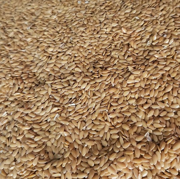 Gold Flax from Ukraine supplied by Anko-agrotrade - Raw (=Natural) Flax Seed