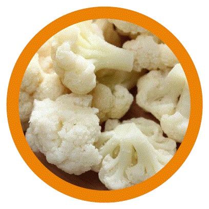 Frozen IQF Cauliflower from 이집트 supplied by Pure Valley for Export - 냉동 콜리플라워