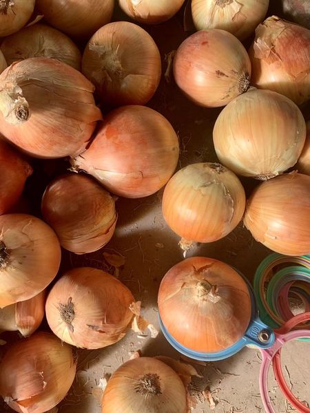 fresh onions from China supplied by jining pengjie trading co ltd - Fresh Onion