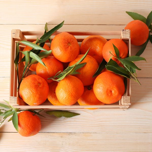 Fresh Mandarin from Egypt supplied by AMG FUTURE - Size: 140 Fresh Mandarin