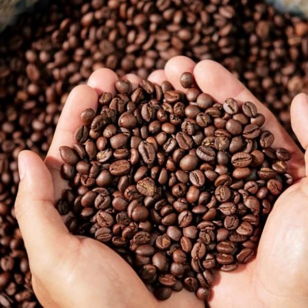 Coffee from 가나 supplied by JOBACH COMOD LTD - 갈색 볶은 원두