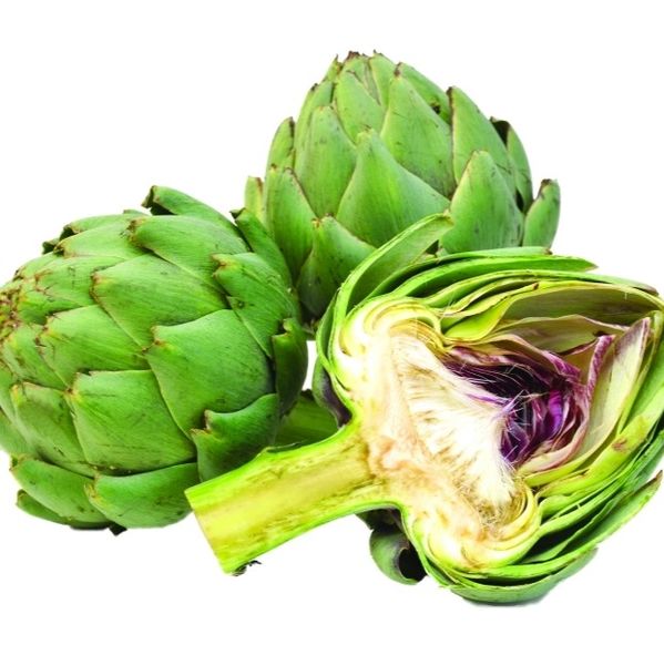 Artichoke from 이집트 supplied by ALDBERKY TREADING - 신선 아티초크