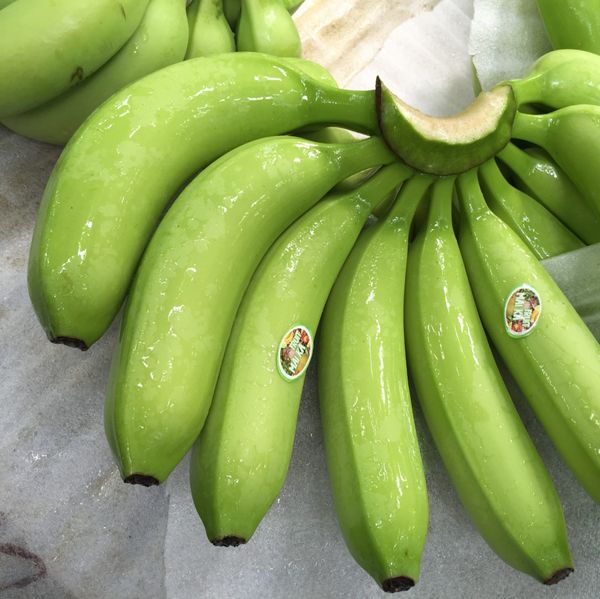 Fresh Cavendish Banana from 베트남 supplied by Fasanis GmbH - No. 2 신선 바나나