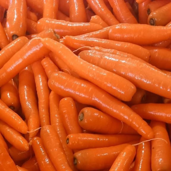 fresh carrots from Egypt supplied by Mega Fresh - Size: 22-40 mm Fresh Carrot