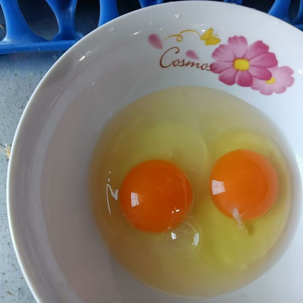 鸡蛋 from China supplied by 深圳市久伴供应链管理中心 - Size: 48-49 Chicken Egg