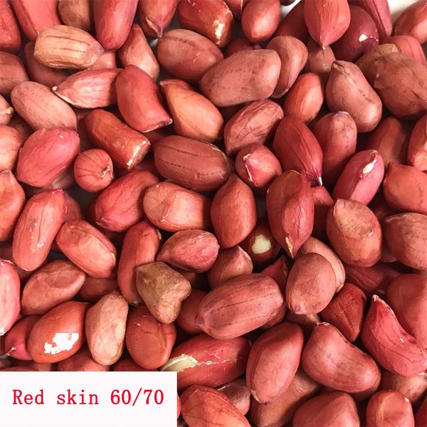 peanut from 중국 supplied by QINGDAO PRIMA FARM FOODS CO LTD - 땅콩 알맹이