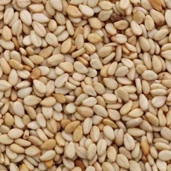 Sesame seed from 나이지리아 supplied by Dignexus Consultancy - 생 참깨