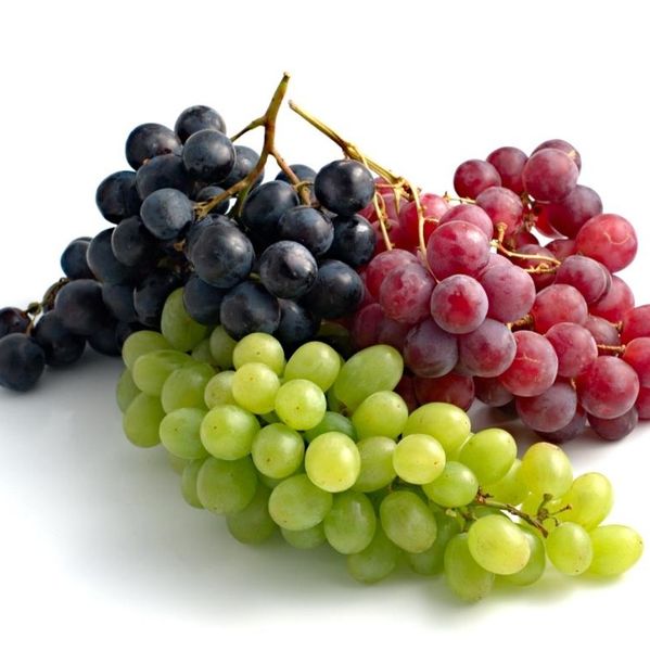 Grapes from 이집트 supplied by ALDBERKY TREADING - 신선 포도