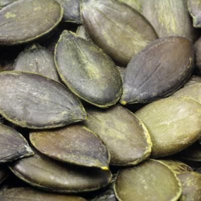 GWS grade AA pumpkin kernels from China supplied by Prima Materia Food Ingredients GmbH - High Quality Pumpkin Seed