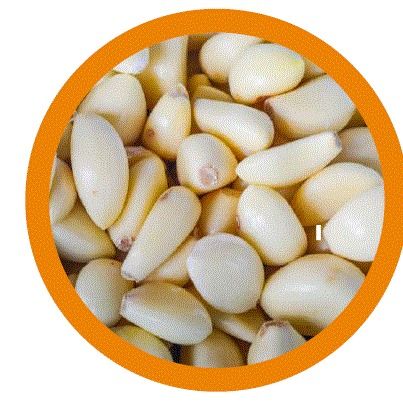 Frozen IQF Garlic from 이집트 supplied by Pure Valley for Export - 냉동 마늘