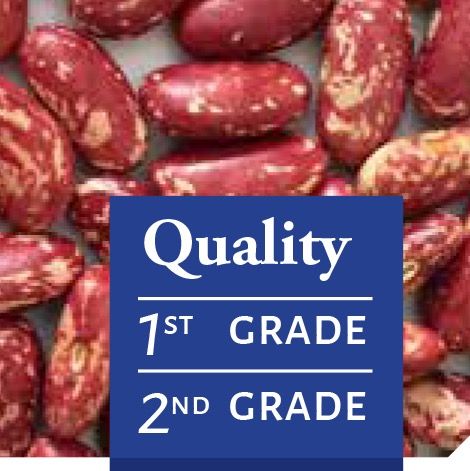 Red Speckled Kidney Beans from 볼리비아 supplied by QUELLE TRADE, import export d.o.o - 말린 강낭콩