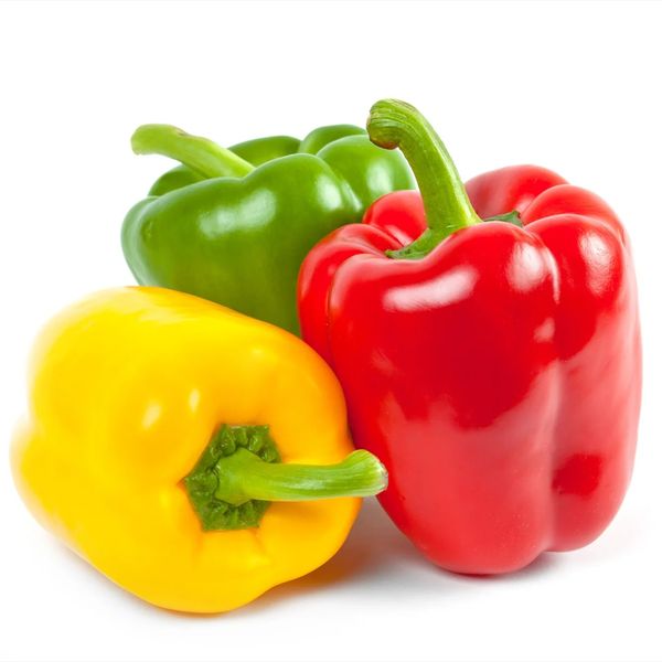 Premium Peppers from 이집트 supplied by PEI Trade - 삼색 신선 피망